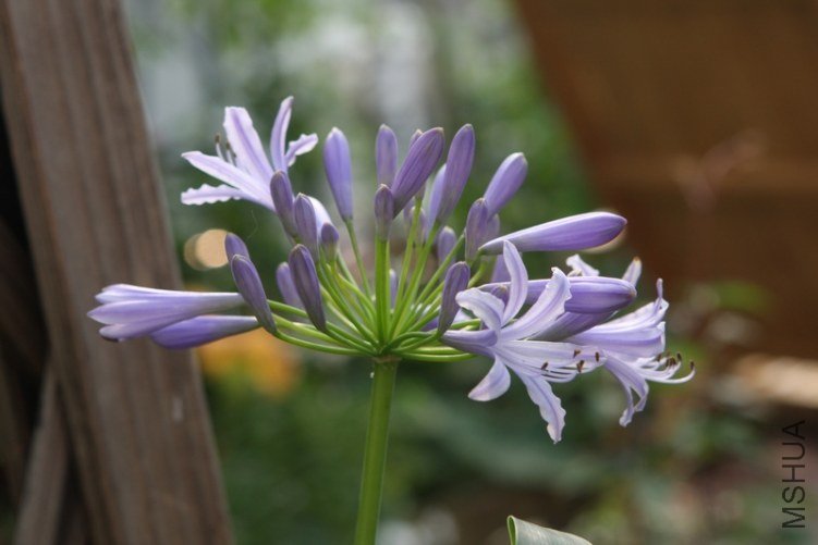 ��Ƭ 078.jpg