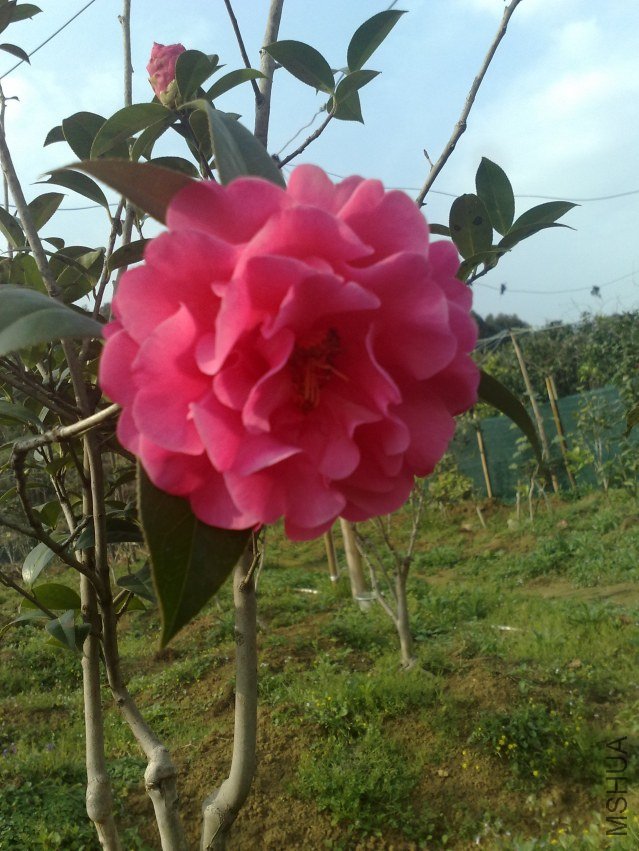 201202181219.jpg