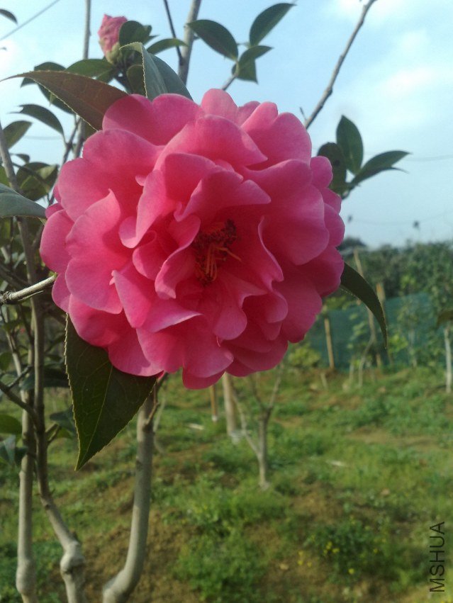 201202181220.jpg