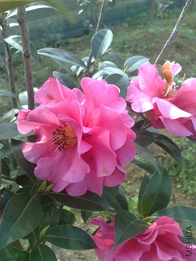 201202181225.jpg