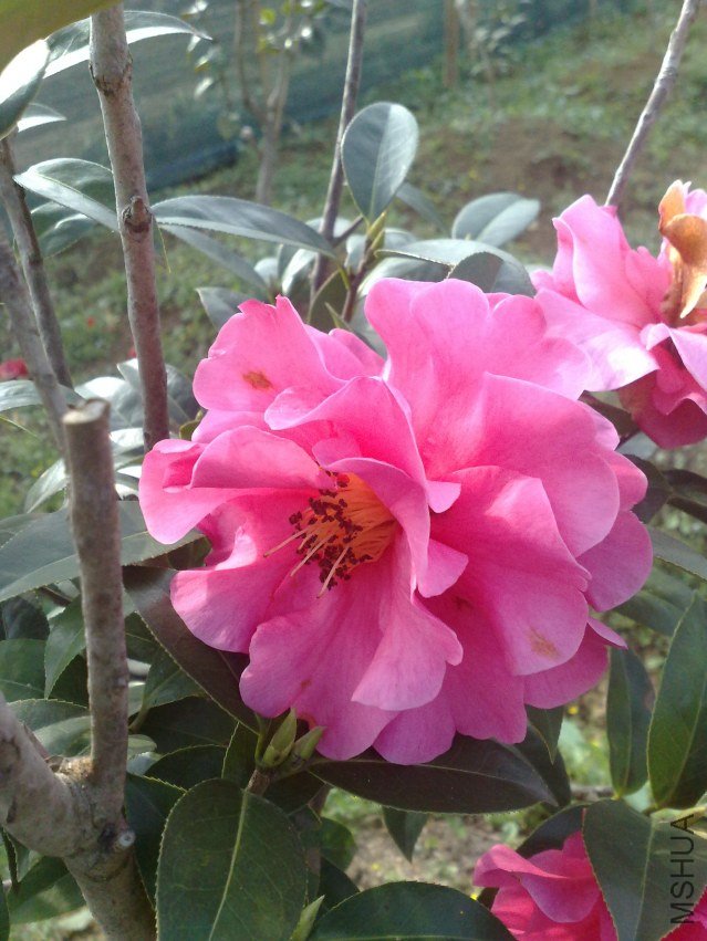 201202181233.jpg