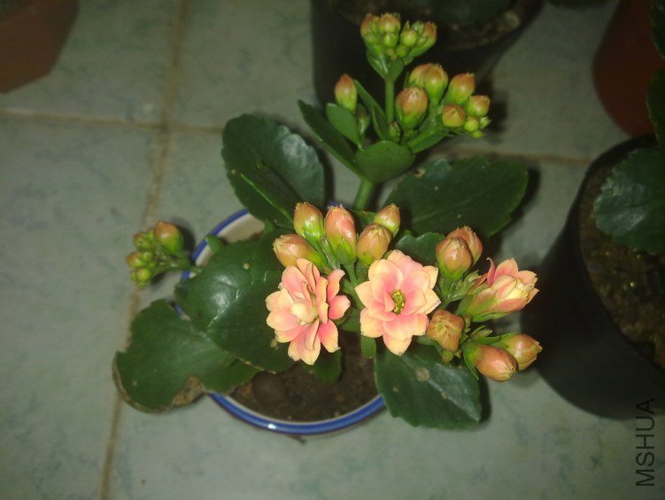 20120221776.jpg