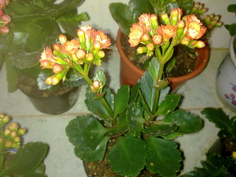 20120221777.jpg