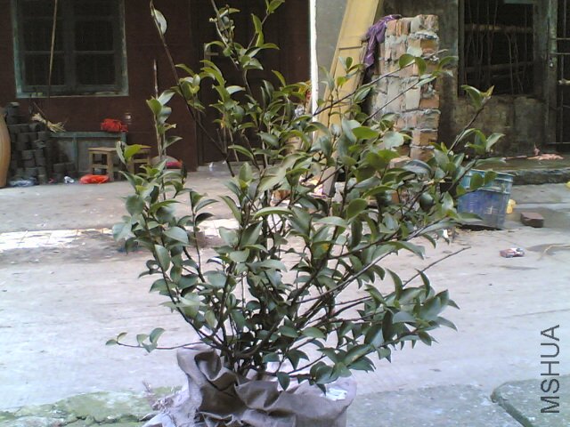 20120220(001).jpg