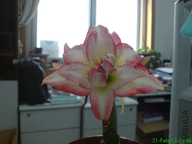 DSC04221_1.jpg