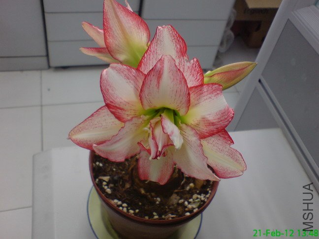 DSC04222_1.jpg