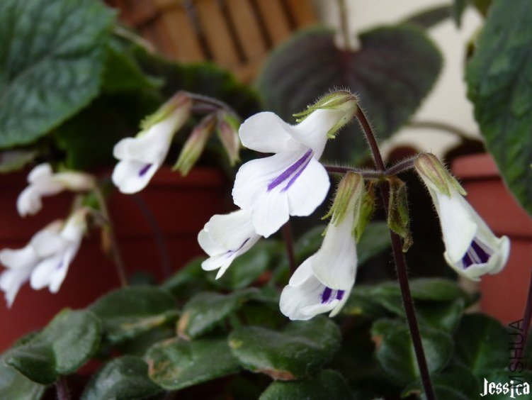 2012.02.20 047.JPG