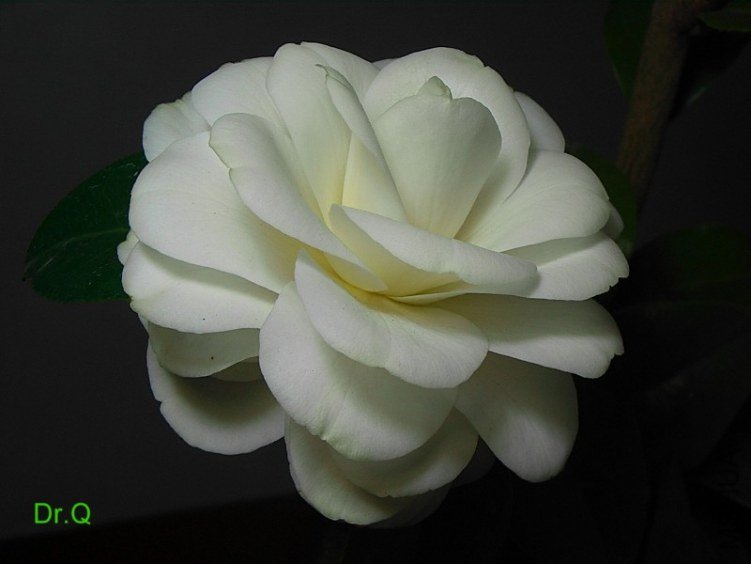 0222-5.JPG