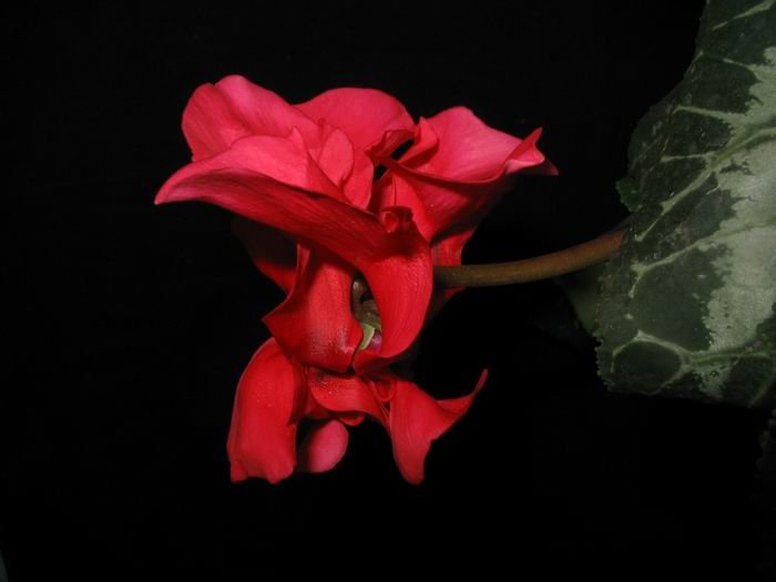 120220 006.jpg