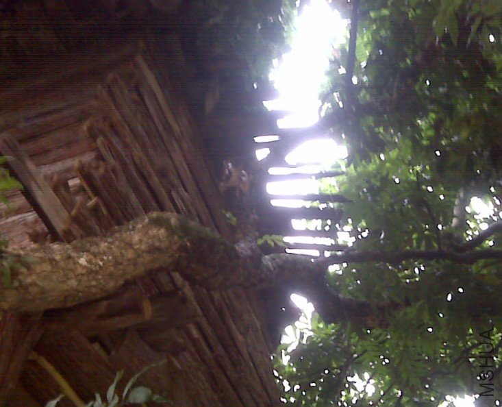 b6.jpg