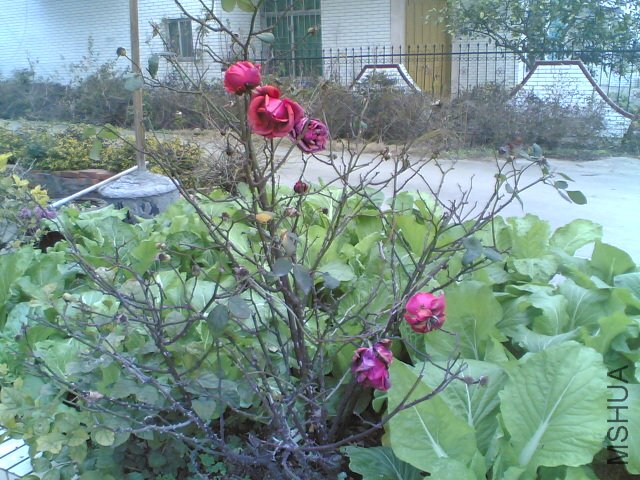 20120220(003).jpg