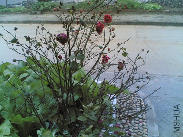 20120220(004).jpg