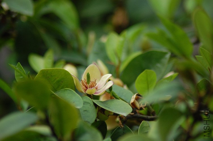 2798424218457868265.jpg