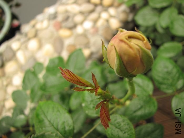 ��������1 of qlj.jpg