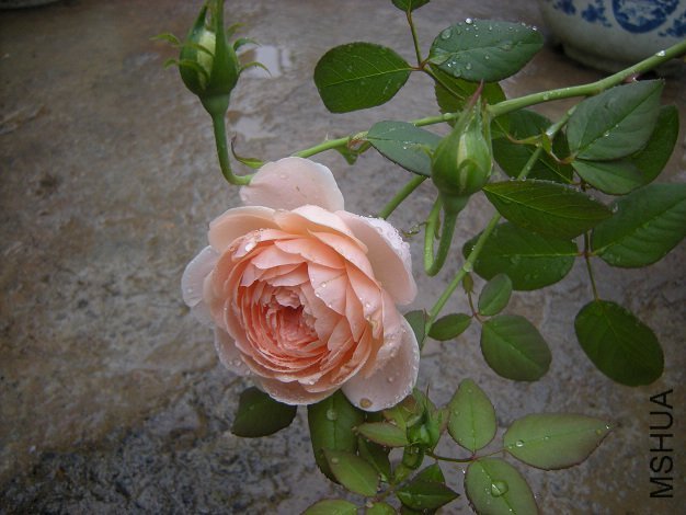 ��������3 of һ����Ѯ .jpg