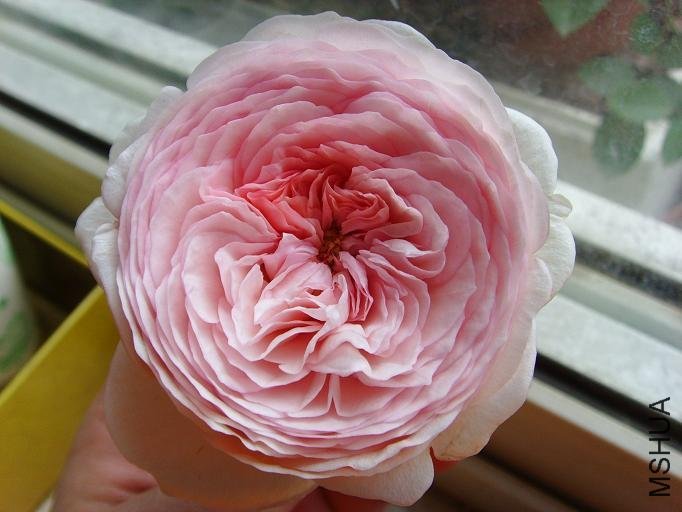 �ܷ��ܶ���5 of feilanduo .jpg