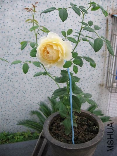 ��������˹͡ of ygm222 .jpg