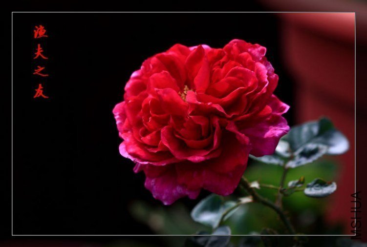 ���֮��4 of ��������.jpg