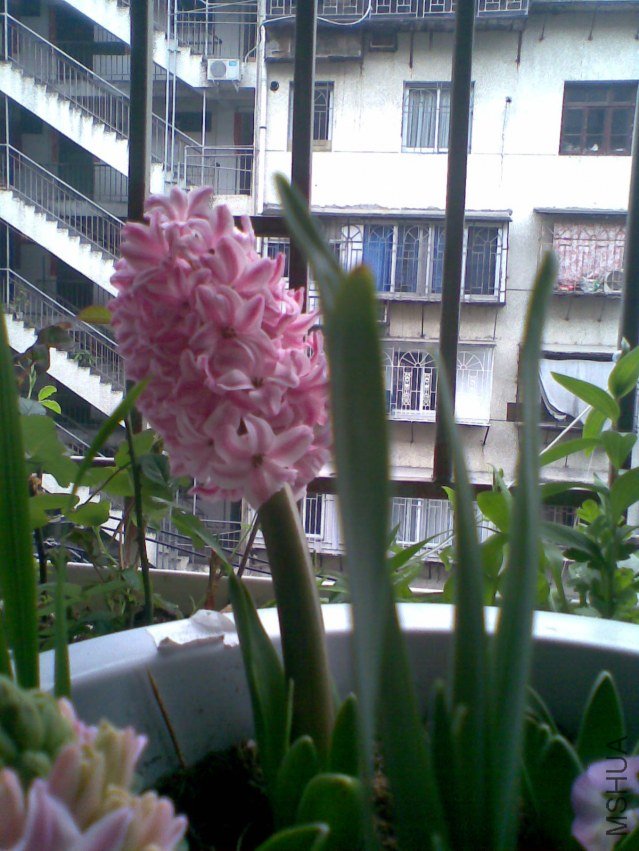 ��������������û�мм��ķ�����