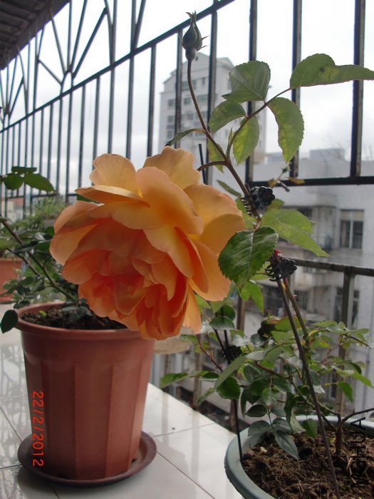 ���ذ�˹͡3 of ���ƴ���.jpg