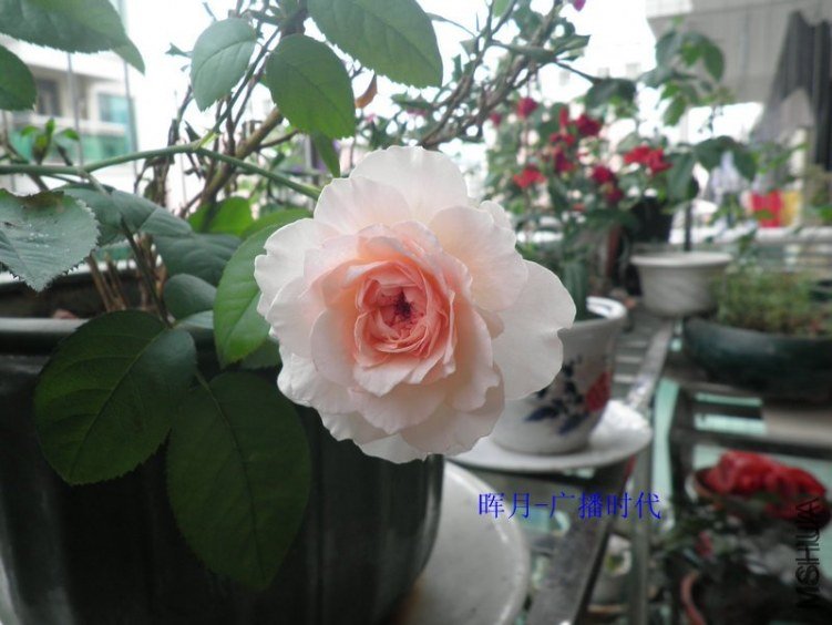 �㲥ʱ��1 of hu001 .jpg