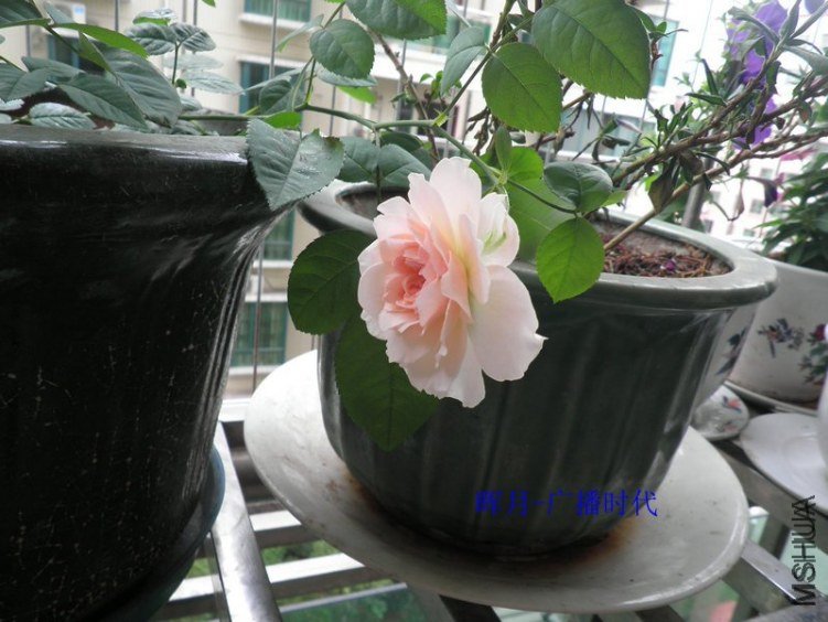 �㲥ʱ��2 of hu001 .jpg