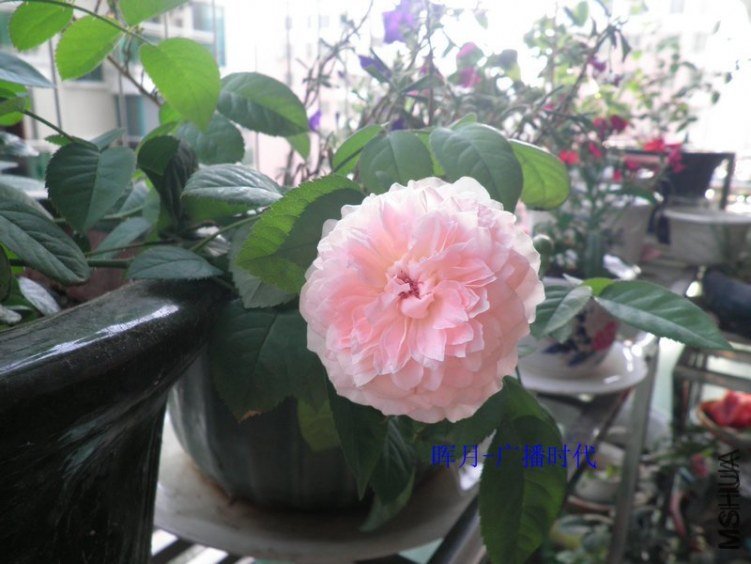 �㲥ʱ��3 of hu001 .jpg