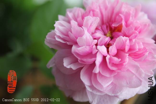 ��Ů����ɯ��4 of ������ .jpg