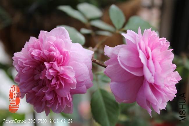 ��Ů����ɯ��3 of ������ .jpg