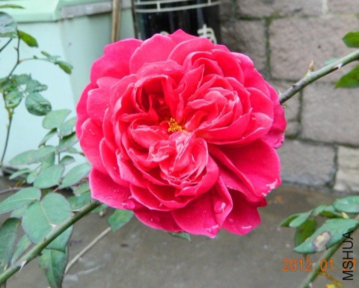 �շƵ�õ��3 of �¸ҡ��� .jpg