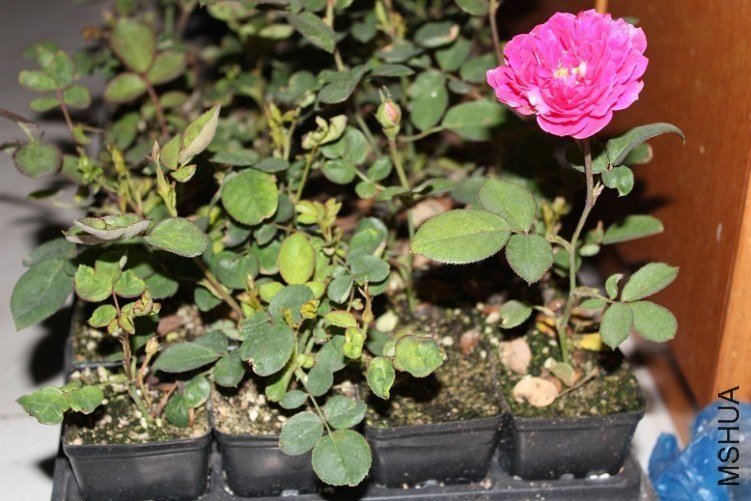 �շƵ�õ��2 of qkccc.jpg