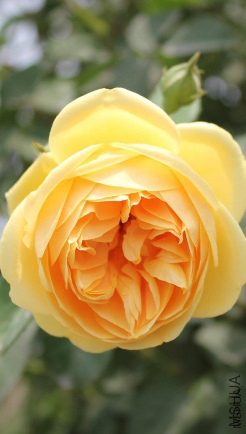 ����������˹7 of qkccc  .jpg