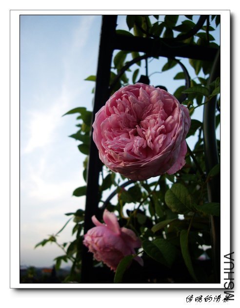 ���ɾ���5 of ��������� .jpg