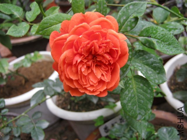 ����֮��1 of ��������.jpg