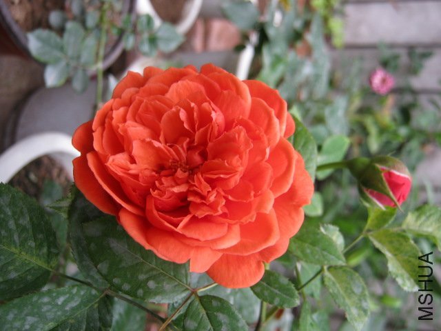 ����֮��2 of ��������.jpg