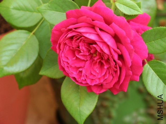 ����3 of �������.jpg