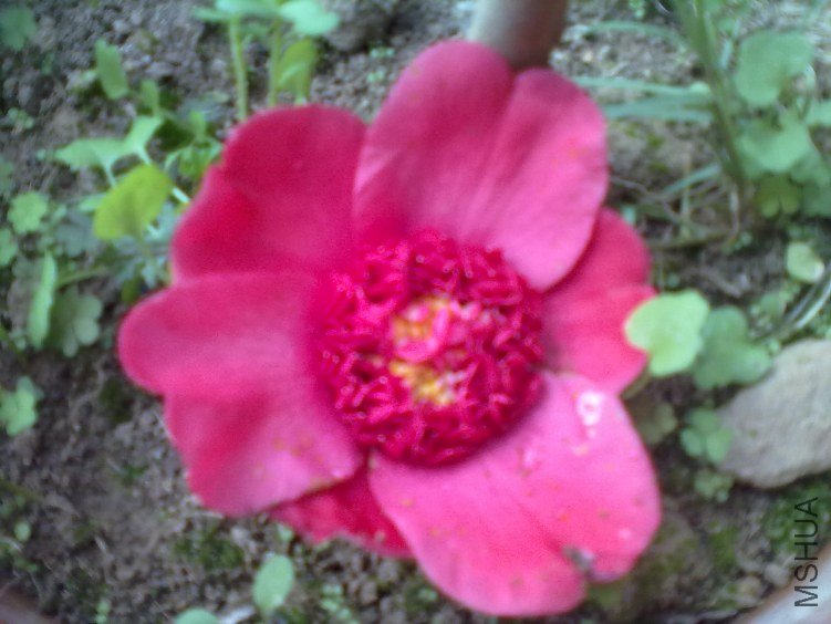 20120224188.jpg