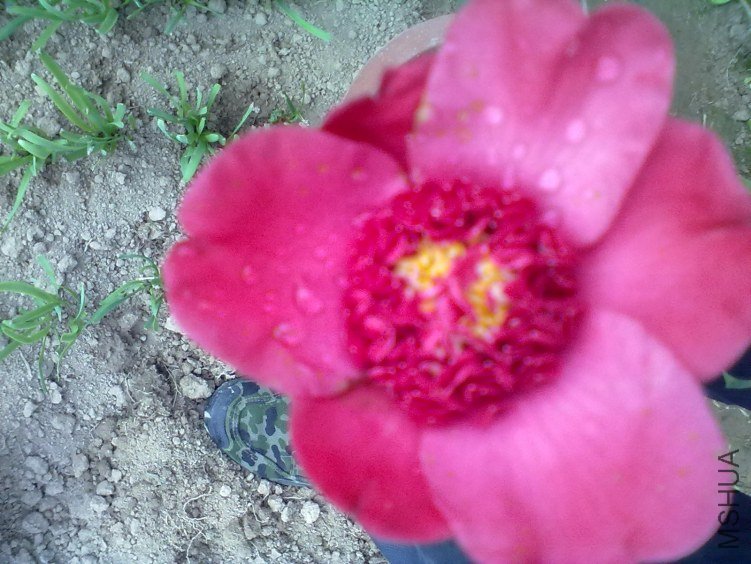 20120224186.jpg