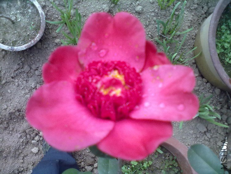 20120224185.jpg