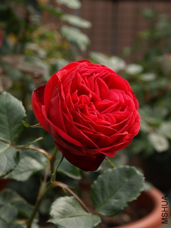 ����3 of davisze  .jpg