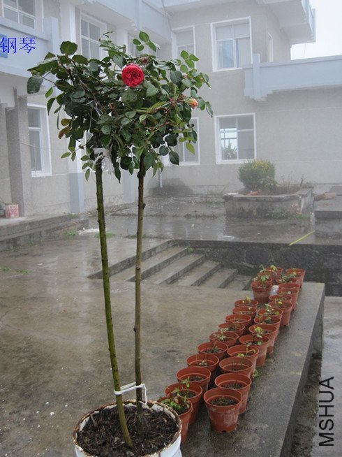 ���٣����£�1 of .jpg