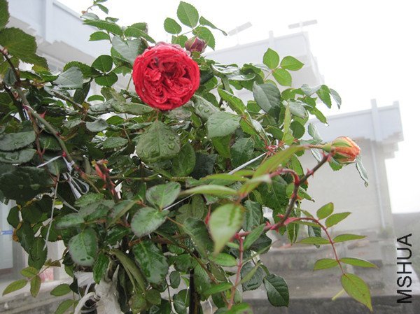 ���٣����£�2 of ������Ǻ .jpg