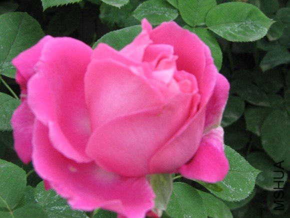 ĵ���¼�4 of ���� .JPG