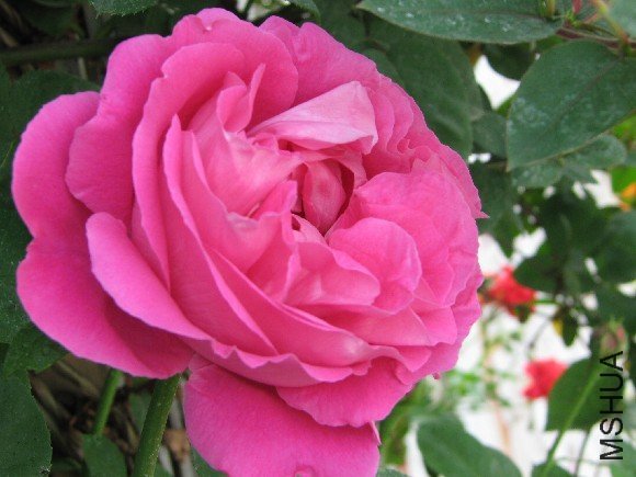 ĵ���¼�5 of ���� .JPG