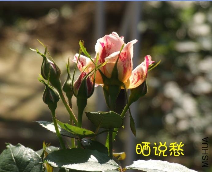 ˵��3 of ��ããȻ .jpg