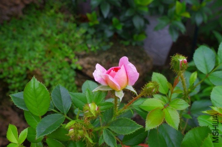 ����3 of �������� .jpg