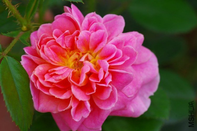 ����7 of �������� .jpg