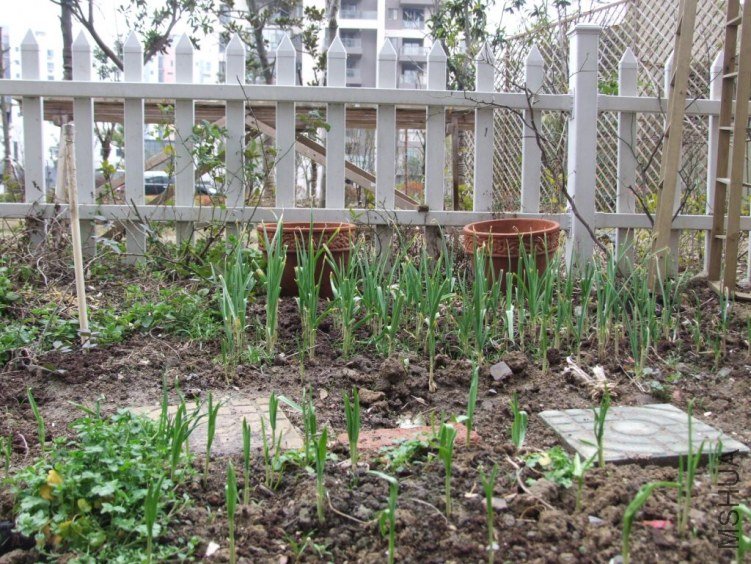 DSCF2951.JPG