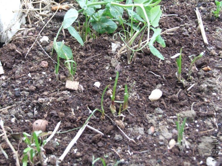 DSCF2954.JPG