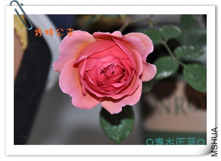 ���ع���3 of �������� .jpg